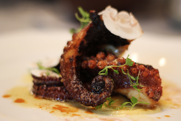 MaximoBistro-LATAM-2018-DISH1